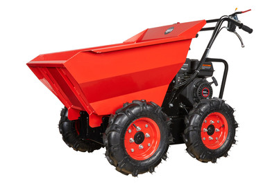 Image of ayce Petrol Dumper DP 3000 bei JUMBO