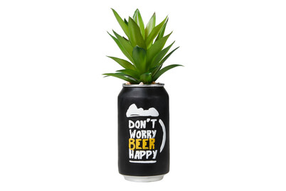 Image of Sukkulente IN Bierdose 25Cm 4Ass. bei JUMBO