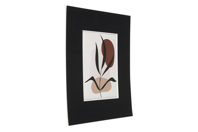 Image of Passeparpout 18X24 Schwarz bei JUMBO