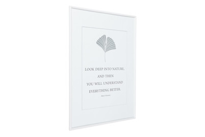 Image of Kunststoffrahmen MC 42X59.4(A2) Weiss bei JUMBO