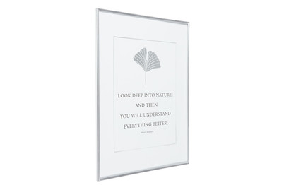 Image of Kunststoffrahmen MC 42X59.4(A2) Silber bei JUMBO