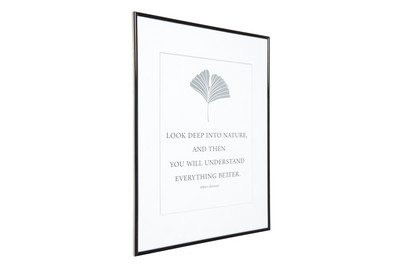 Image of Kunststoffrahmen MC 42X59.4(A2) Schwarz bei JUMBO