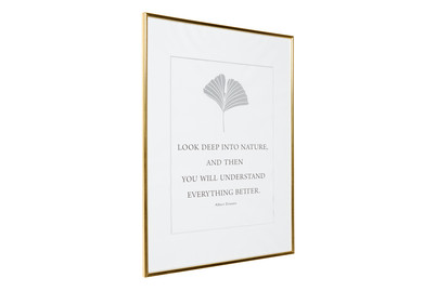 Image of Kunststoffrahmen MC 42X59.4(A2) Gold bei JUMBO