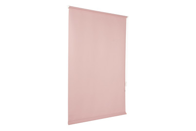 Image of Easyfix Rollo UNI Perlmuttrosa 100X150 bei JUMBO