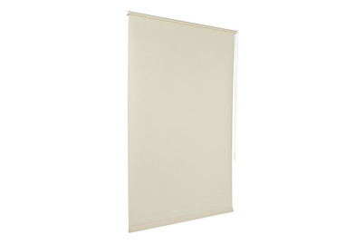 Image of Easyfix Rollo UNI Mintgruen 100X150 bei JUMBO
