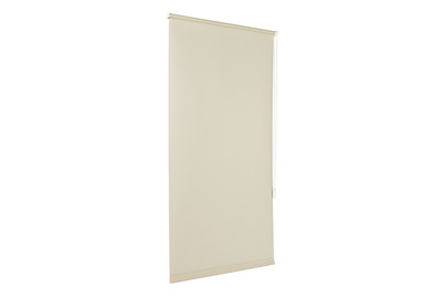 Image of Easyfix Rollo UNI Mintgruen 75X150 bei JUMBO