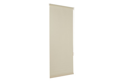 Image of Easyfix Rollo UNI Mintgruen 60X150 bei JUMBO