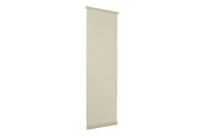 Image of Easyfix Rollo UNI Mintgruen 45X150 bei JUMBO