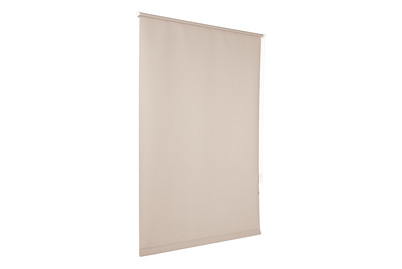 Image of Easyfix Rollo UNI Steingrau 100X150 bei JUMBO