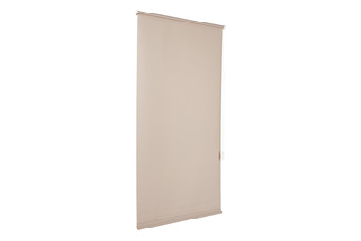 Image of Easyfix Rollo UNI Steingrau 75X150 bei JUMBO