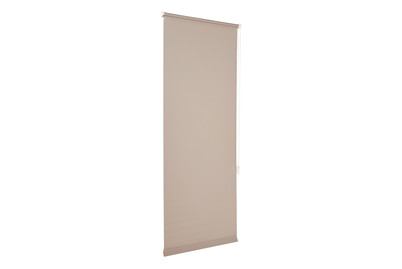 Image of Easyfix Rollo UNI Steingrau 60X150 bei JUMBO