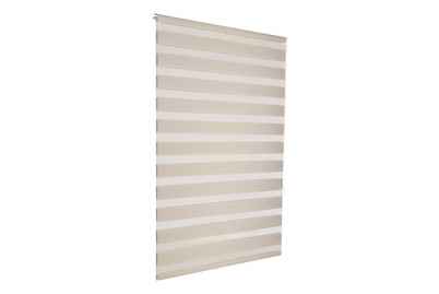 Image of Doppelrollo Easy FIX 100X150 Grau bei JUMBO