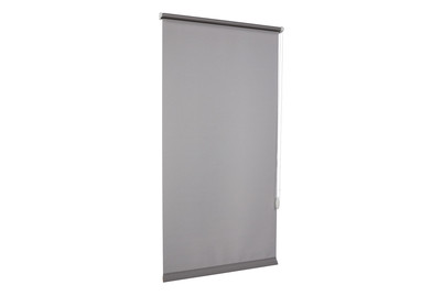 Image of Easyfix Rollo Shaun Hellgrau 75X160 bei JUMBO