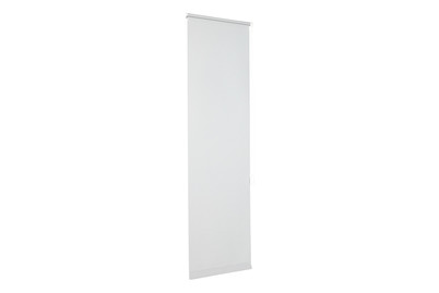 Image of Easyfix Rollo Shaun Hellgrau 45X160 bei JUMBO