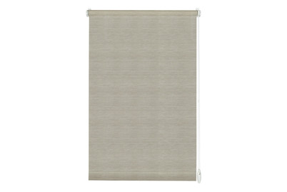 Image of Easyfix Rollo Natur Grau-Melange 60X150 bei JUMBO