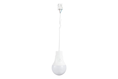 Image of Max Hauri AG Baustellenlampe LED mit Anschlusskabel und Klemmen bei JUMBO