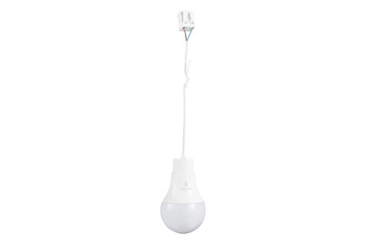 Image of Max Hauri AG Baustellenlampe LED bei JUMBO