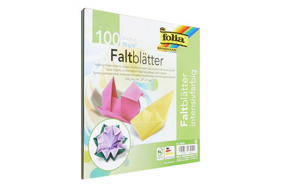 Image of Folia Faltblätter 100 Stk. bei JUMBO