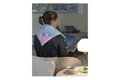 Image of Glorex Kirschkerne bei JUMBO