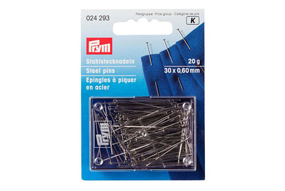 Image of Stecknadeln,silber,20g bei JUMBO