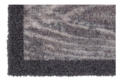 Image of Türvorlage Mondial Welcome paws bei JUMBO