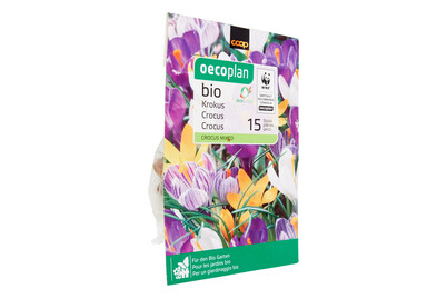 Image of Oecoplan Bio Krokus Vernus Mix bei JUMBO