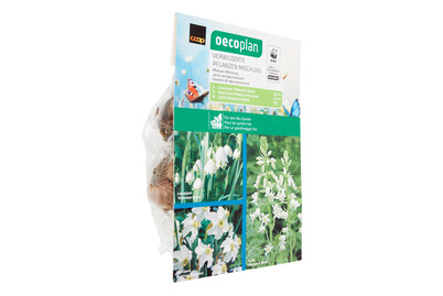 Image of Oecoplan Bio ver- wilderte PflanzenMix bei JUMBO