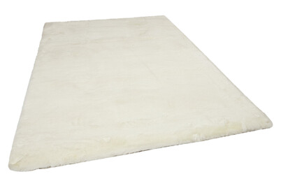 Image of Teppich Novara bei JUMBO