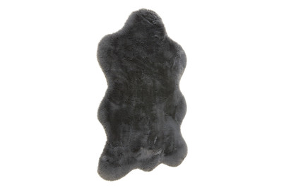 Image of Fellteppich Cingoli bei JUMBO