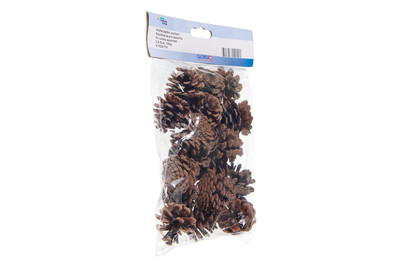 Image of Kieferzapfen, Sortiert,2,5-5Cm 100G bei JUMBO