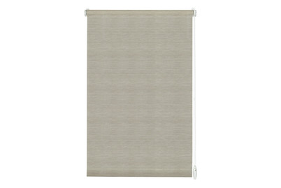 Image of Easyfix Rollo Natur Grau-Melange 100X15 bei JUMBO
