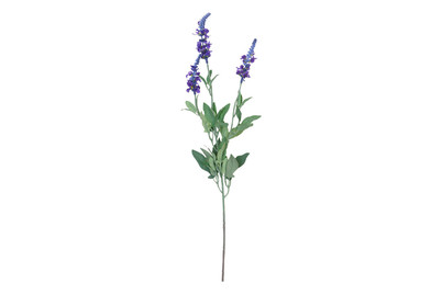 Image of Lavendel Stiele 70Cm