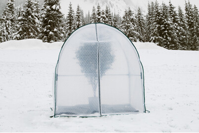 Image of Colibri Winterschutz Iglu Gross bei JUMBO