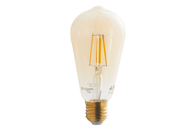 Image of Eglo Leuchtmittel Zig-E27-St64 4,9W 2200K amber 1 Stk bei JUMBO