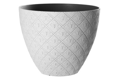 Image of Pflanztopf Alyssum weiss bei JUMBO