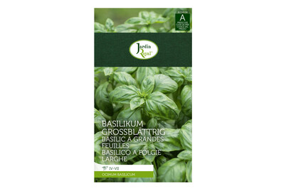 Image of Jardin Royal Basilikum grossblättrig bei JUMBO