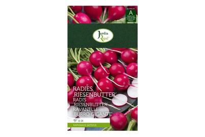 Image of Jardin Royal Radies Riesenbutter bei JUMBO