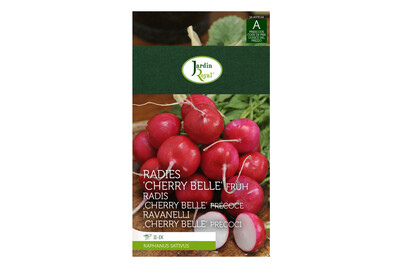 Image of Jardin Royal Radies Cherry Belle bei JUMBO