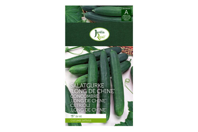 Image of Jardin Royal Salatgurke Long de Chine bei JUMBO
