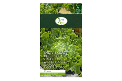 Image of Jardin Royal Endivie glatt Bubikopf bei JUMBO