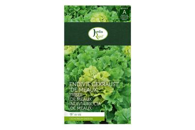 Image of Jardin Royal Endivie gekraust De Meaux bei JUMBO