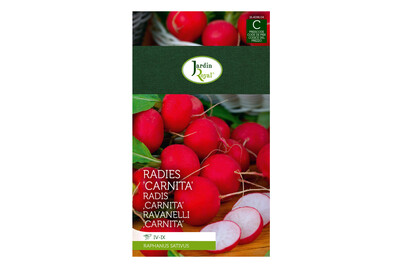Image of Jardin Royal Radies Carnita bei JUMBO