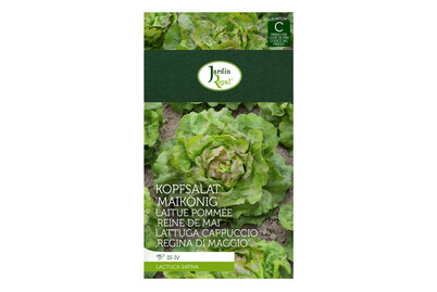Image of Jardin Royal Kopfsalat Maikönig bei JUMBO