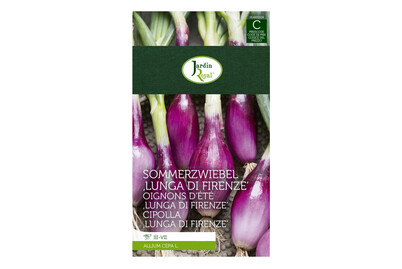 Image of Jardin Royal Sommerzwiebel Lunga di Firenze bei JUMBO