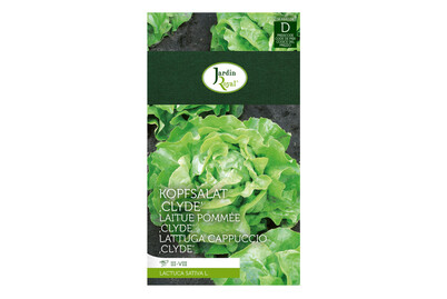 Image of Jardin Royal Kopfsalat Clyde bei JUMBO