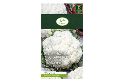 Image of Jardin Royal Blumenkohl Neckarperle bei JUMBO