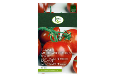 Image of Jardin Royal Tomate Montfavet, Früh