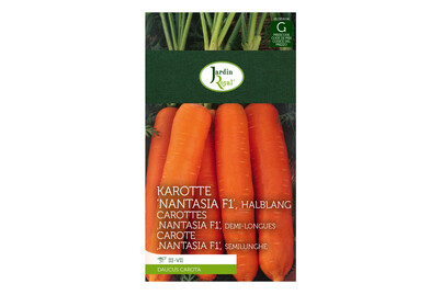 Image of Jardin Royal Karotte Nantasia F1 halblang bei JUMBO
