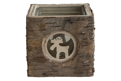 Image of Windlicht Holz/Glas Elch 9x9x9cm bei JUMBO