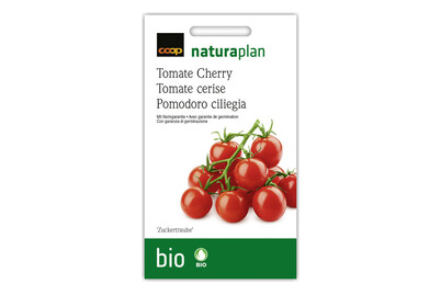 Image of Bio Naturaplan Cherry-Tomate 'Zuckertraube'